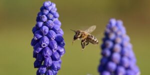 Lire la suite à propos de l’article La reine du digital, sans PowerPoint ni bla-bla inutile